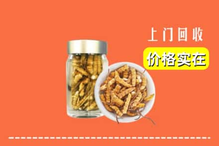 收购资讯:黄南回收散虫草
