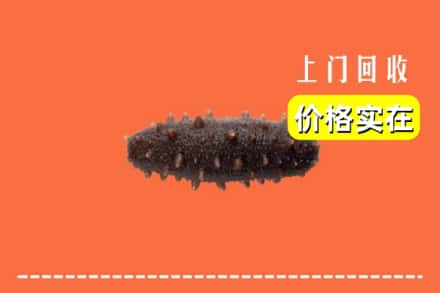 收购资讯:黄南回收海参